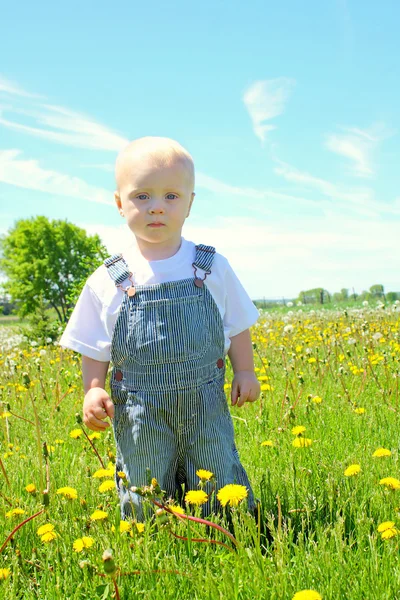 Baby in paardebloem veld — Stockfoto