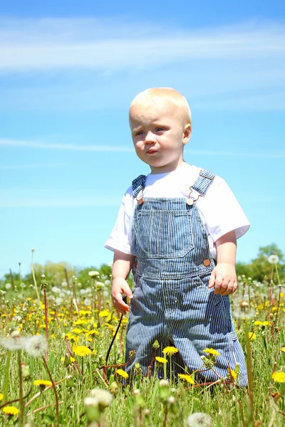 Serious Baby in Field — Stock Photo, Image