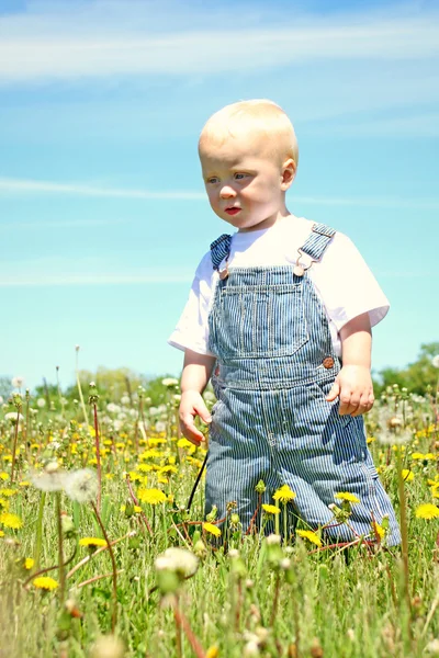 Baby boy standing in dandelions — Stock Photo, Image