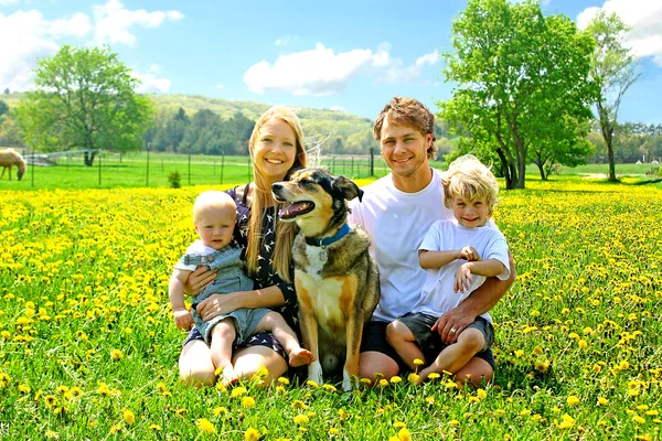 Família feliz sentada no campo de dente de leão — Fotografia de Stock