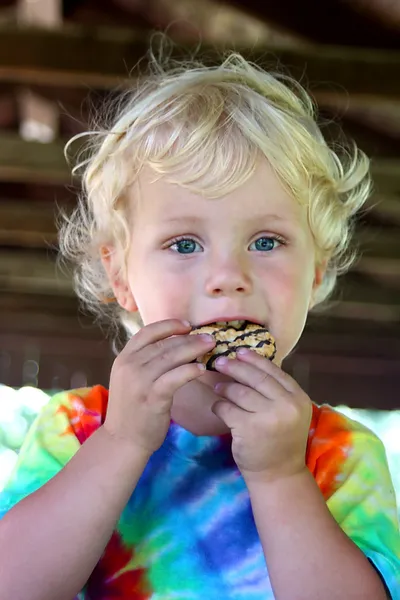 Pequeño niño comiendo galletas de chocolate — Foto de Stock