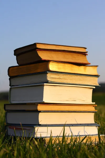 Stapel alter Bücher draußen — Stockfoto