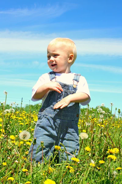 Bebê feliz no campo de dente de leão — Fotografia de Stock