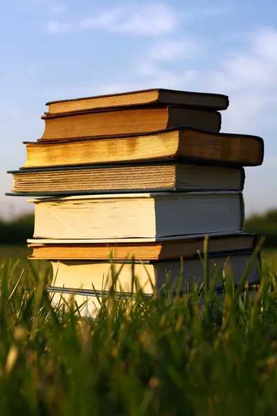 Libros antiguos apilados en hierba — Foto de Stock