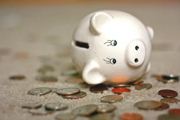 Rummaged Piggy Bank — Stock Photo, Image