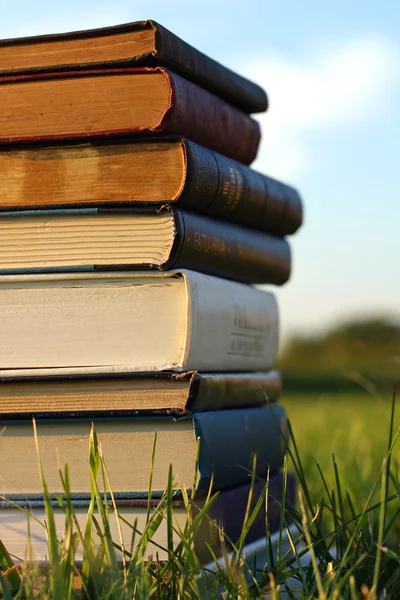 Stapelen van oude boeken buiten — Stockfoto