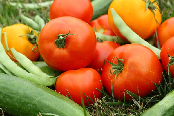Fresh Vegetables Laying in Grass — Stock Photo, Image