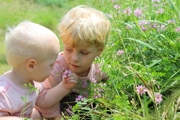 Enfants regardant des fleurs sauvages — Photo