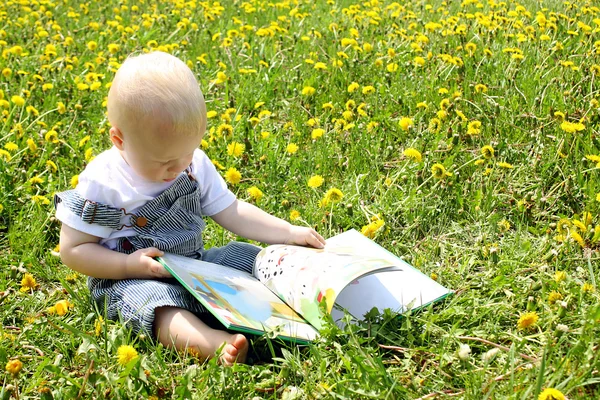 Baby boy läsa bok i maskrosor — Stockfoto
