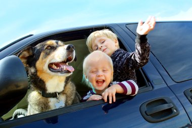mutlu çocuk ve köpek minibüs içinde