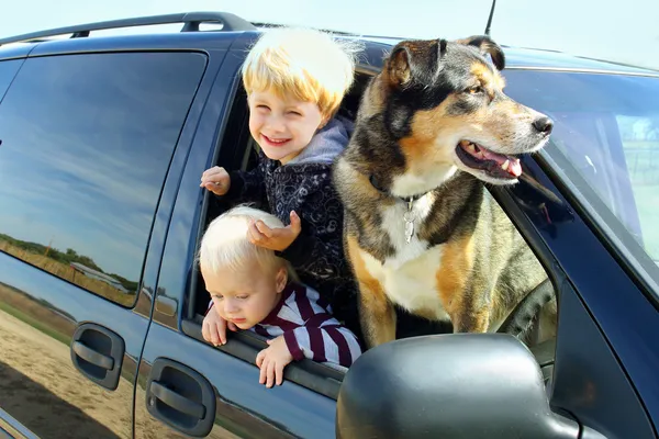 Children and Dog in Minivan — Stock Photo, Image