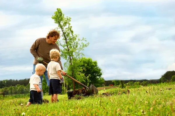 Familie planten van boom — Stockfoto