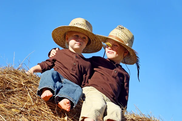 Glada små pojkar sitter på höbalen — Stockfoto