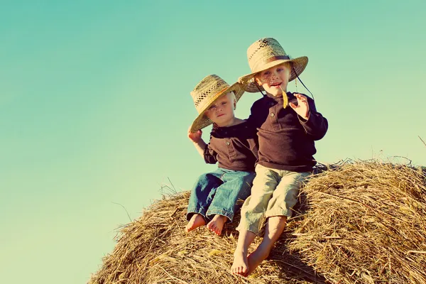 Pequeños chicos de campo en granja — Foto de Stock