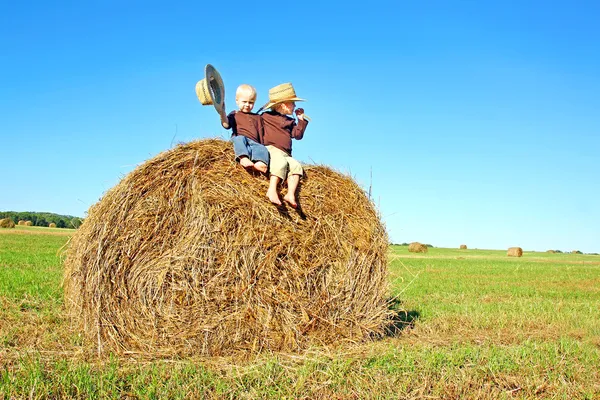 Happy Little Boys Sitting on Big Hay Bale in Farm Field — Stock Photo, Image