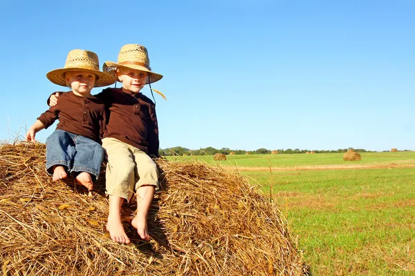 Lindos hermanos afuera en la granja — Foto de Stock