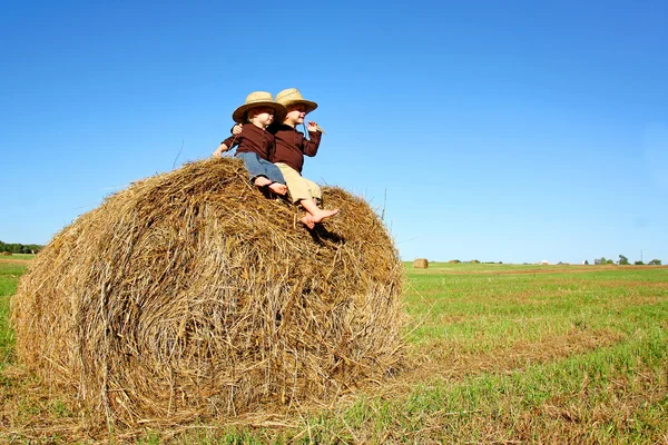 Happy Little Boys on Farm Sitting on Hay Bale — Stock Photo, Image