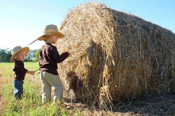 Молодые дети играют на ферме с Hay Bale — стоковое фото