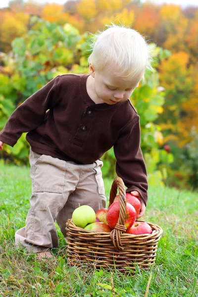Bebê menino agarrar maçã de cesto no outono — Fotografia de Stock