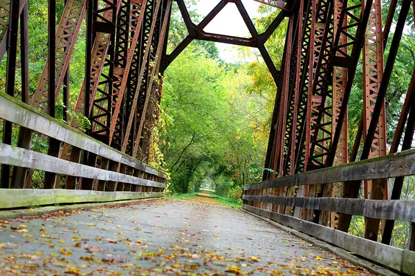 Täckt iron bridge i skogen — Stockfoto