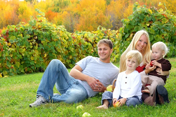 Zittend in het gras eten van appels bij boomgaard en gelukkige familie — Stockfoto