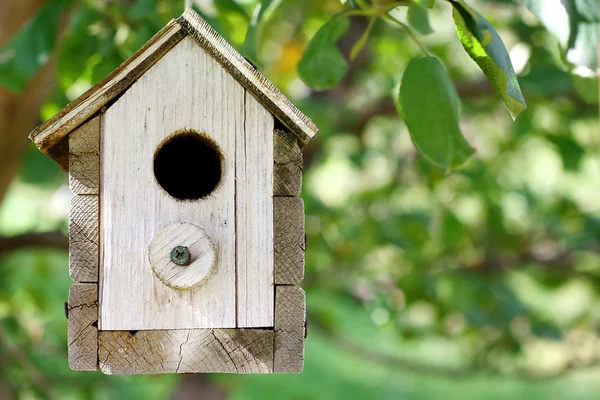 Casa de pajarito de madera colgando en el árbol —  Fotos de Stock