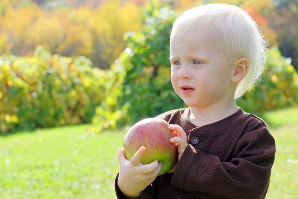 Menino doce segurando maçã no dia do outono — Fotografia de Stock