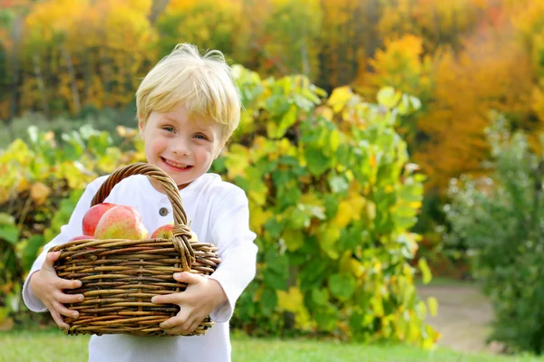 Nettes glückliches Kind trägt Korb mit Äpfeln auf Obstgarten — Stockfoto