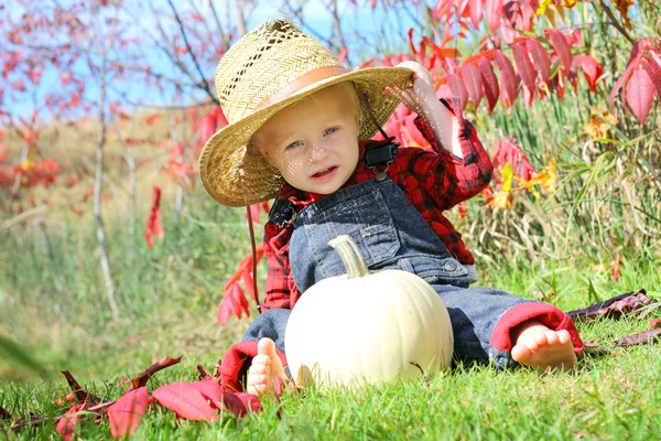 Lindo bebé Country Boy en otoño — Foto de Stock