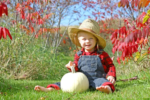 Sonriente niño de campo en el follaje de otoño —  Fotos de Stock