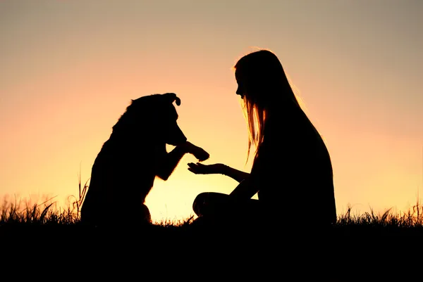 Mulher e seu cão tremendo mãos silhueta — Fotografia de Stock