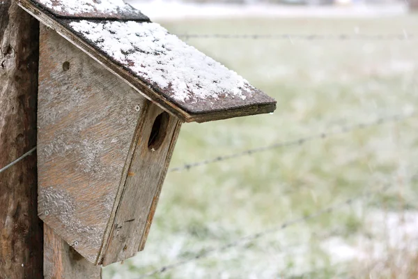 Caseiro Birdhouse pendurado em cerca no inverno — Fotografia de Stock