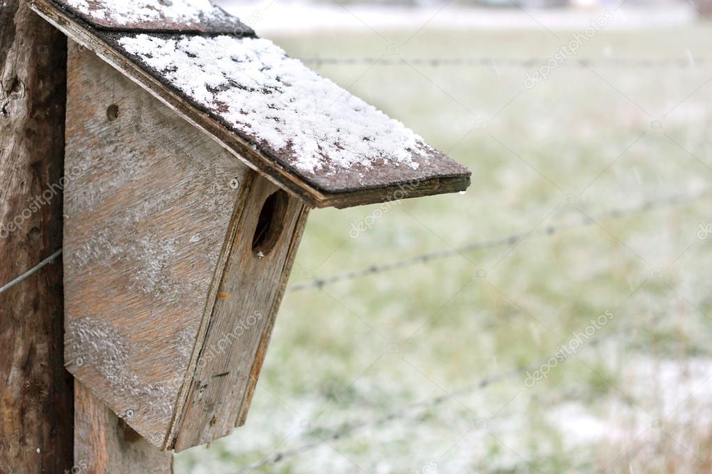 Homemade Birdhouse Hanging on Fence in Winter