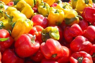farmer's market, parlak kırmızı ve sarı biber yığını