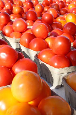 taze domates Ungar'ın pazarında Satılık