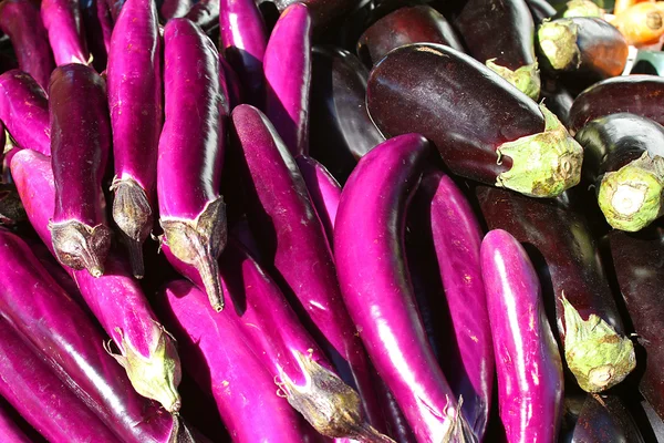 農夫の市場での紫色のナス — ストック写真