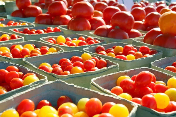 Різноманітність помідори зовнішнім фермера на ринку — стокове фото