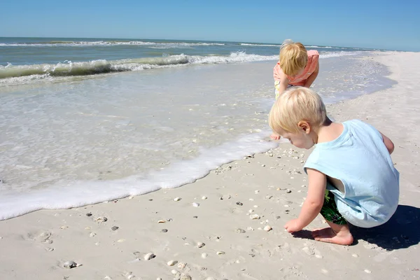 Jonge kinderen oppakken van zeeschelp op strand — Stockfoto