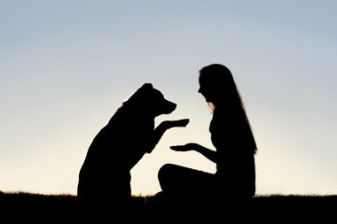 köpek kadın ve onun pet dış titreyen eller siluet