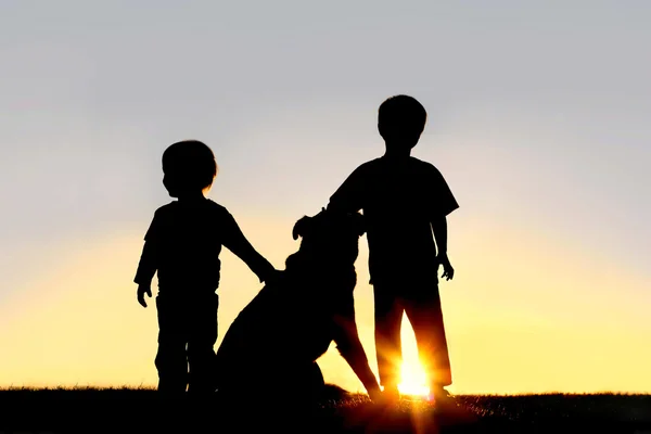 Silhouette von kleinen Kindern mit Hund — Stockfoto