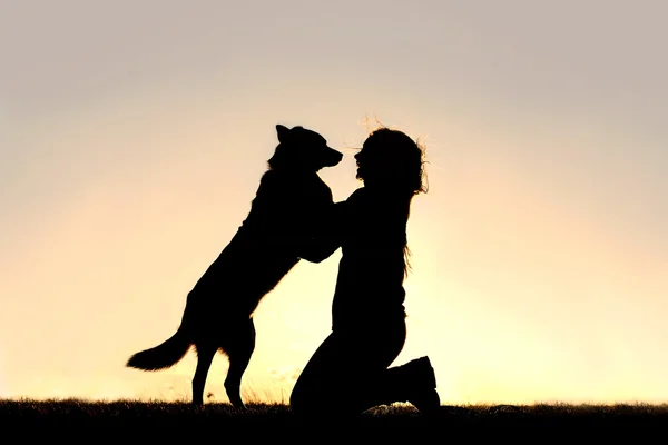 Happy Dog Jumping up to Greet Woman Silhouette — Stock Photo