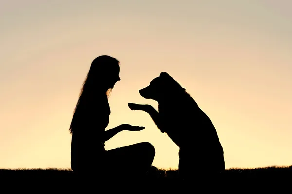 Mulher e seu cão de estimação fora tremendo mãos silhueta — Fotografia de Stock