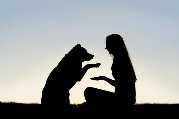 Mulher e seu cão de estimação fora tremendo mãos silhueta — Fotografia de Stock