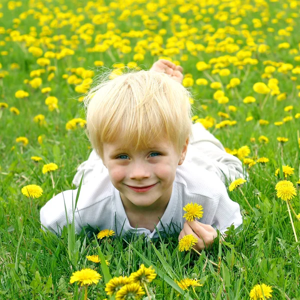 Lindo niño acostado en el prado de flores de diente de león —  Fotos de Stock
