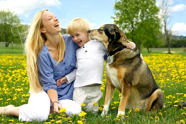 Skrattande mor och barn leker med hunden — Stockfoto
