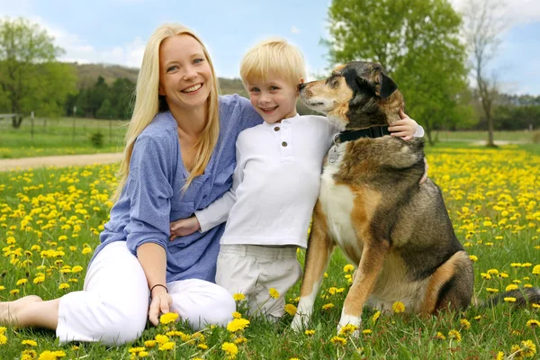 Bonne mère, jeune enfant et chien dans la prairie — Photo