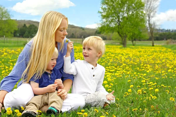 Madre e hijos sentados afuera en el prado de flores de diente de león — Foto de Stock