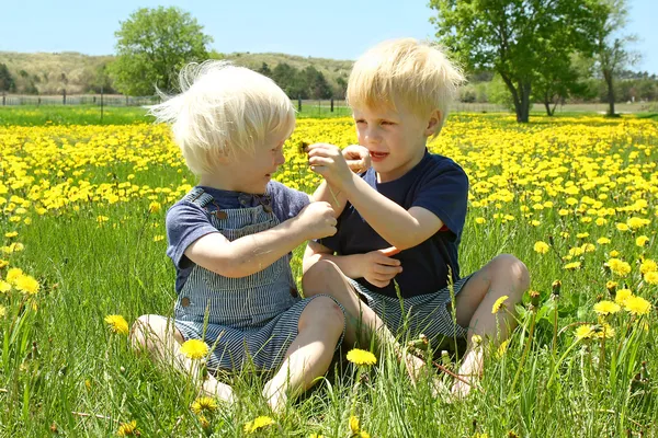 Двое детей играют на улице и нюхают цветы — стоковое фото