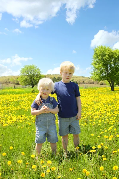 两个孩子站在外面花草甸 — 图库照片