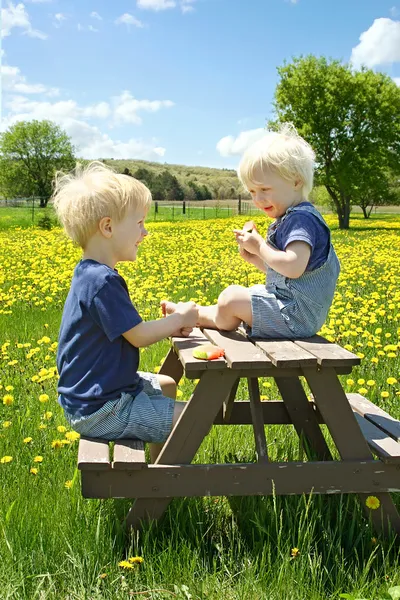 Bambini che fanno picnic di frutta all'aperto — Foto Stock